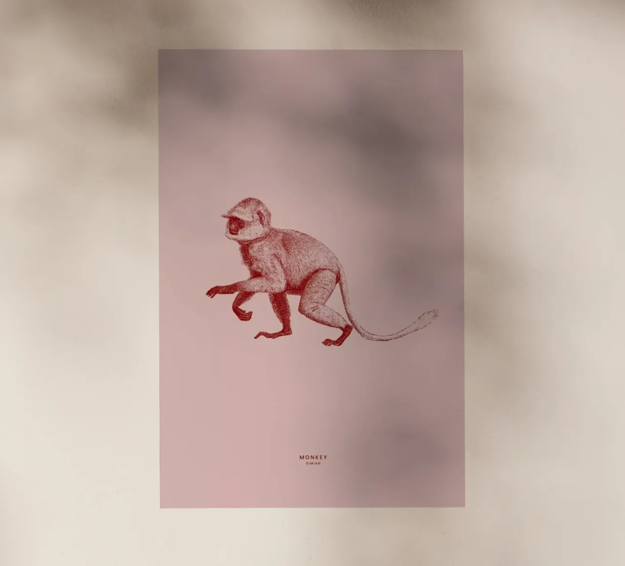Monkey II pellicola backlit da Flora & Fauna
