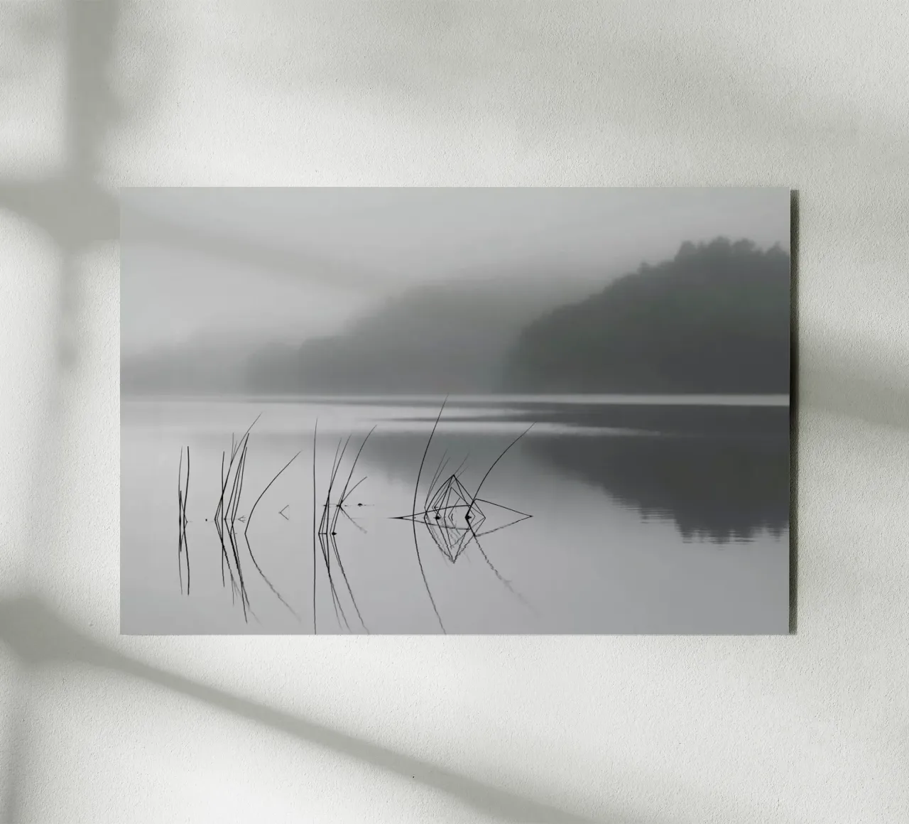 When You Can Hear The Silence - Benny Pettersson alluminio dibond da Pictufy