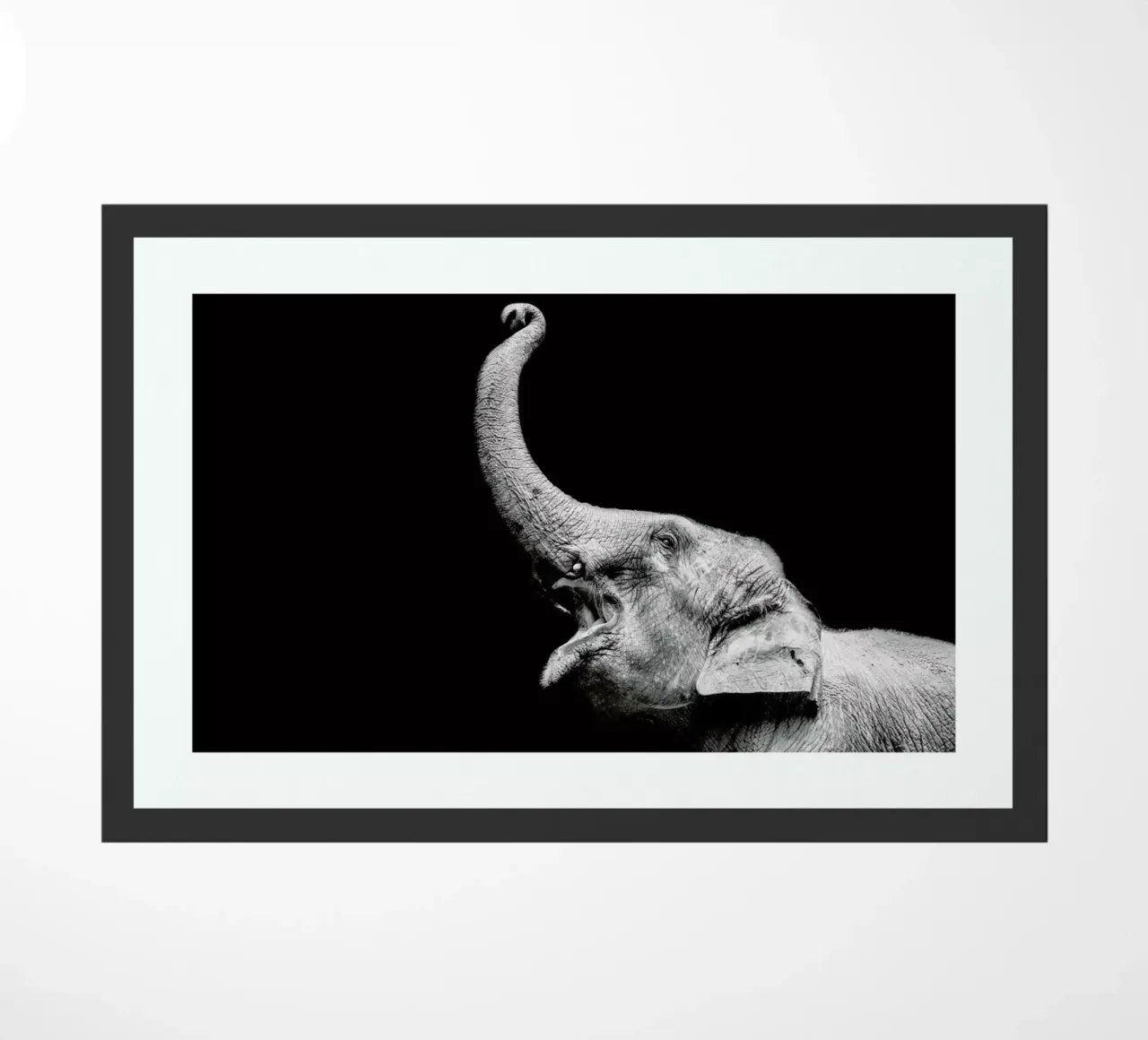 Elephant zerbino da Natural Kingdom