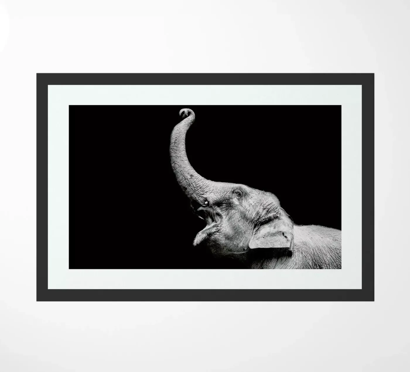 Elephant doormat by Natural Kingdom