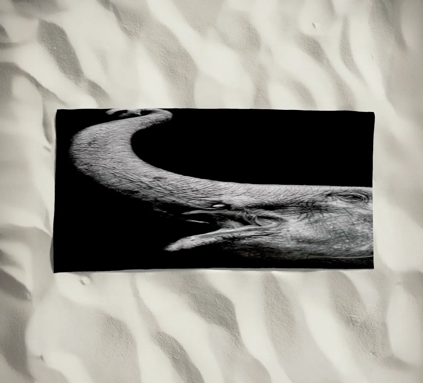 Elephant telo mare da Natural Kingdom