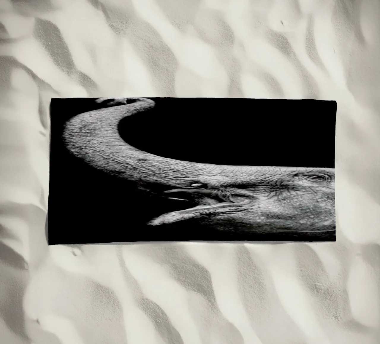 Elephant telo mare da Natural Kingdom