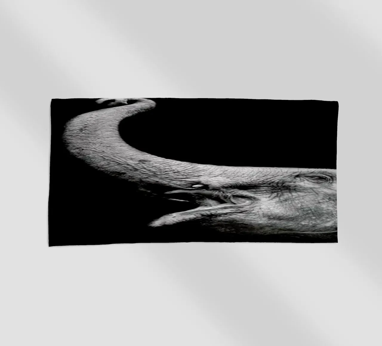 Elephant telo mare da Natural Kingdom