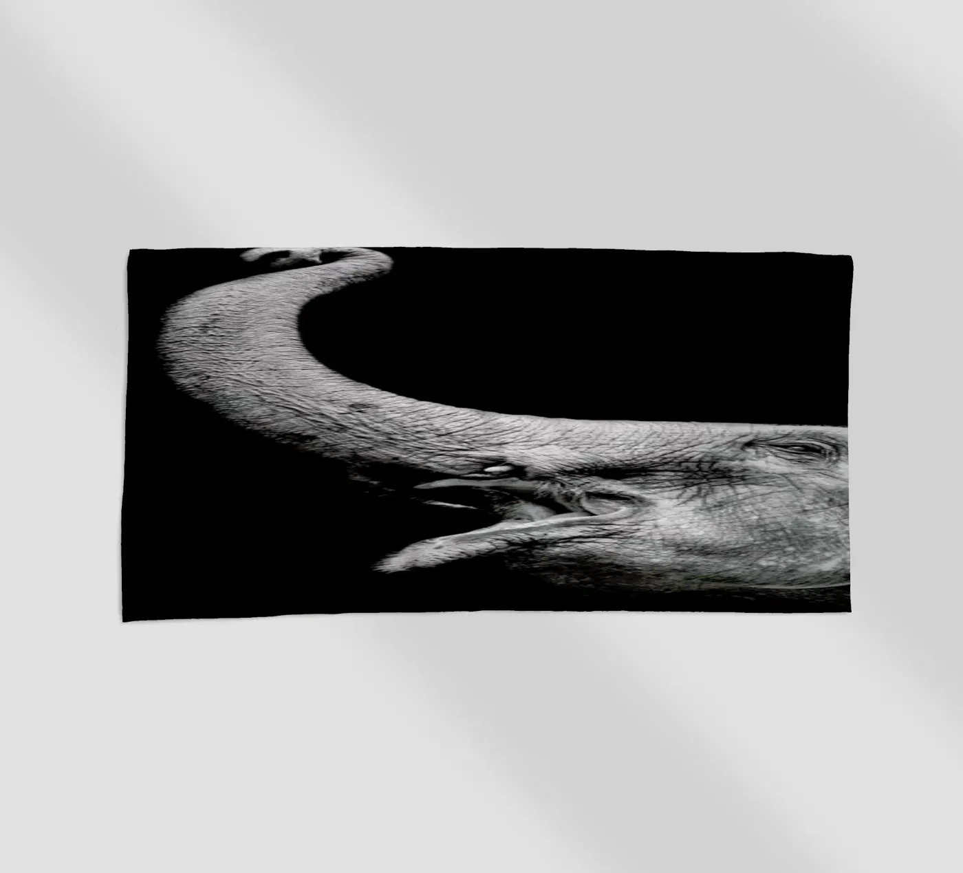 Elephant telo mare da Natural Kingdom