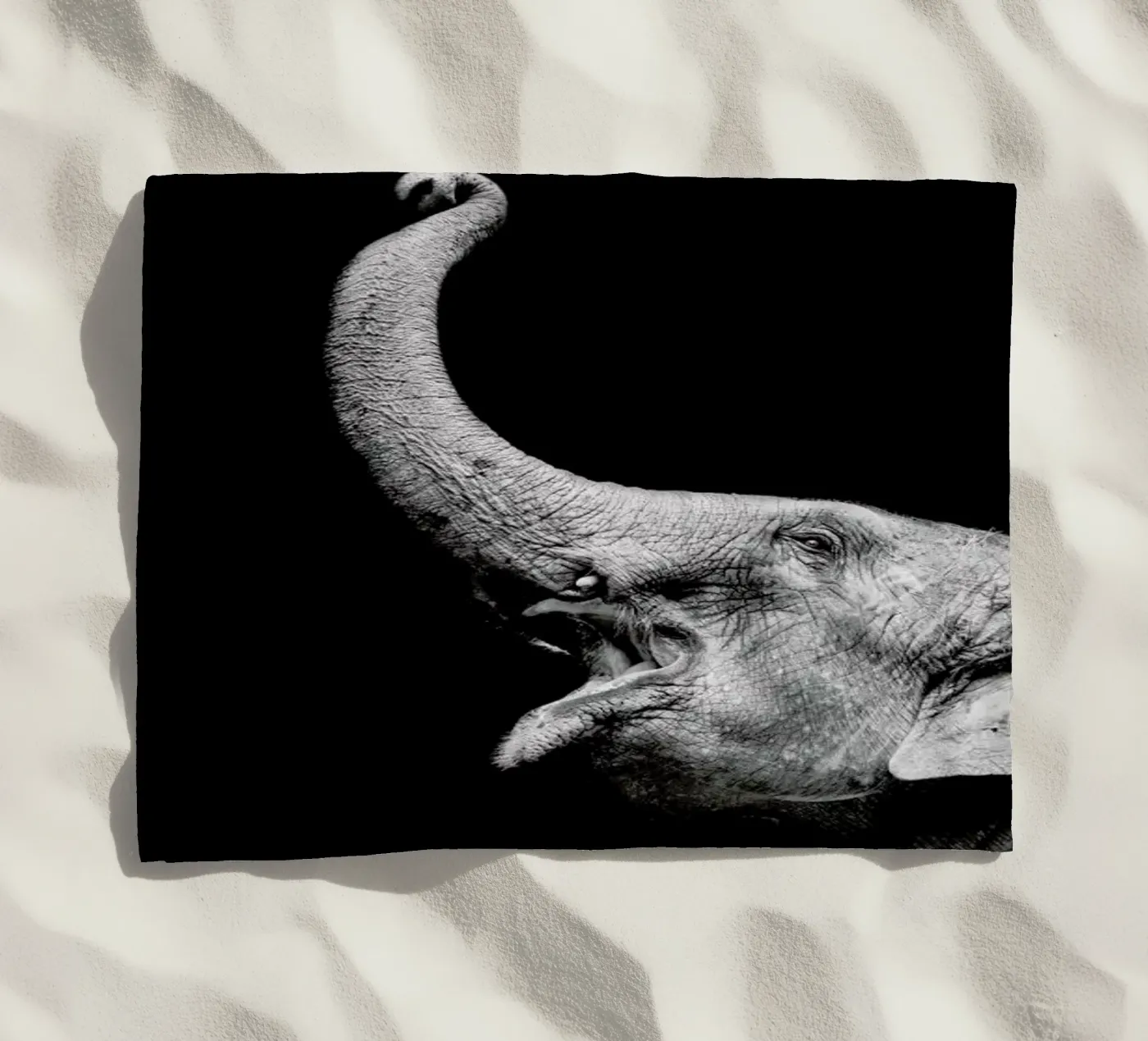 Elephant telo mare da Natural Kingdom