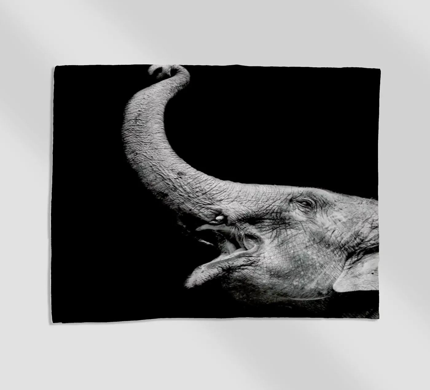 Elephant telo mare da Natural Kingdom