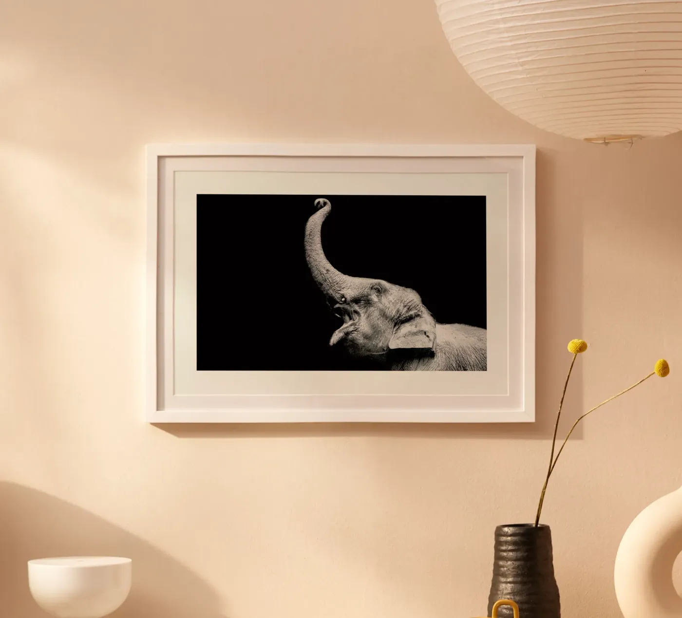 Elephant poster da Natural Kingdom