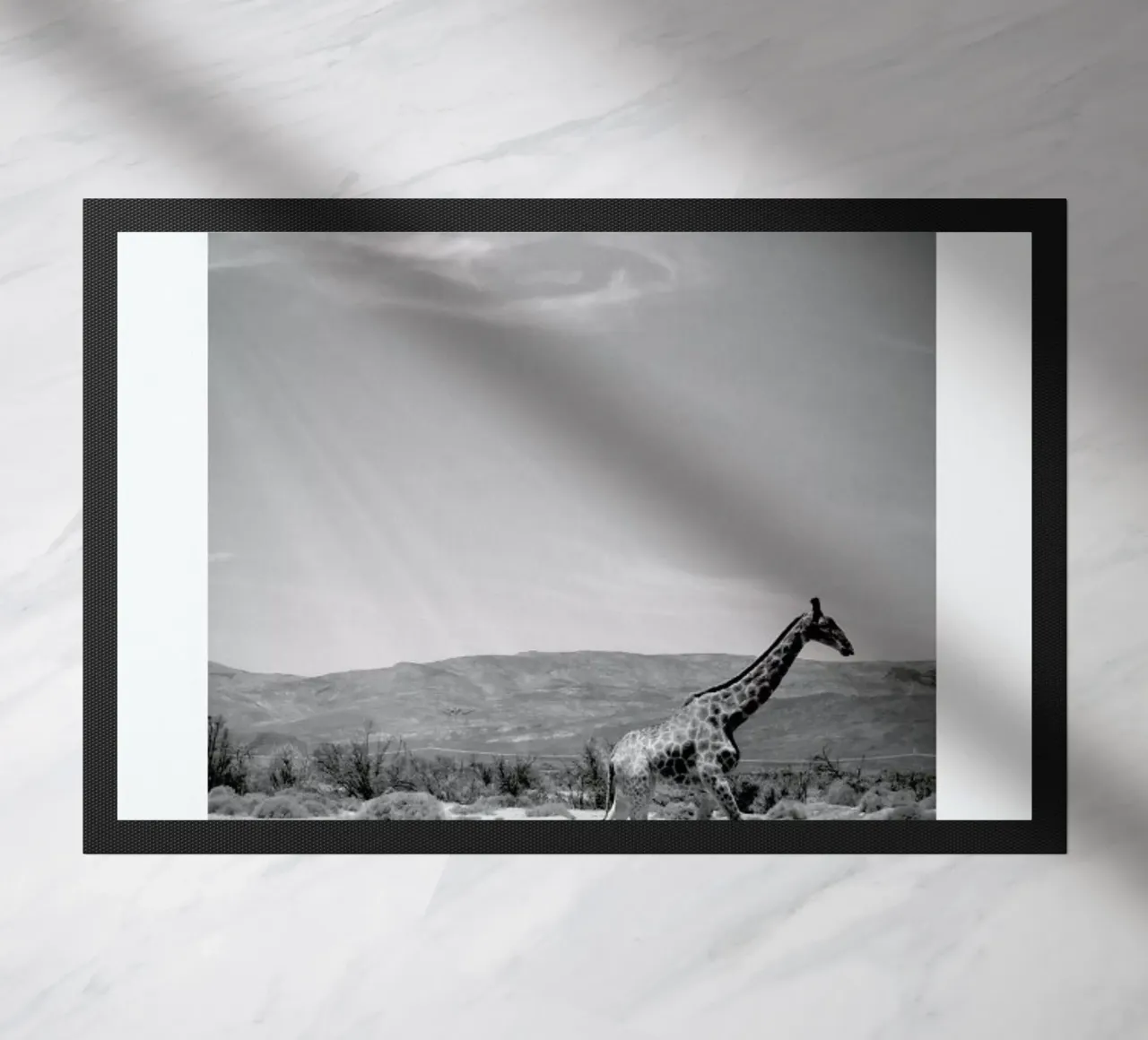 Light on the Savanna zerbino da Natural Kingdom
