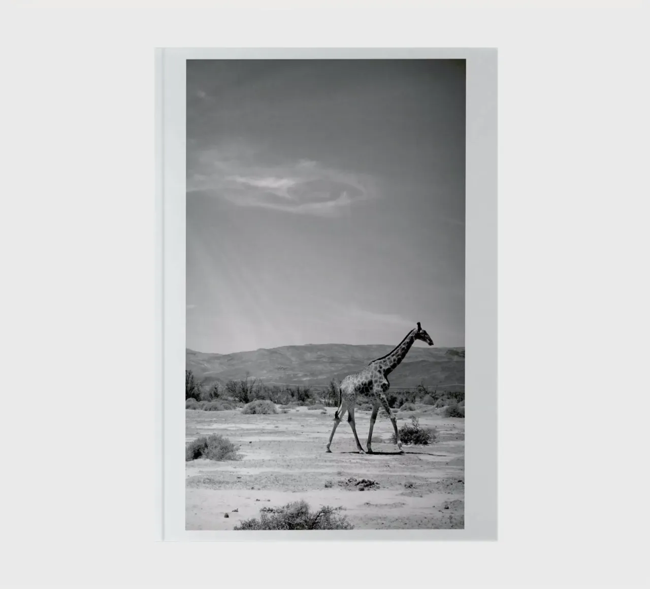 Light on the Savanna notebook by Natural Kingdom