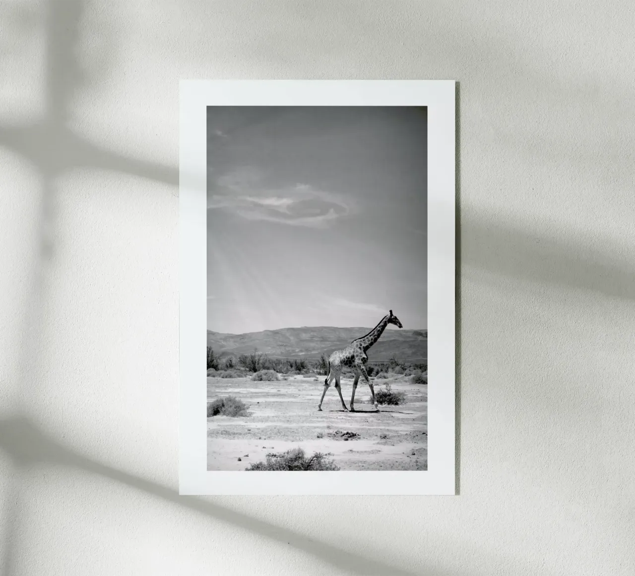 Light on the Savanna acryl van Natural Kingdom