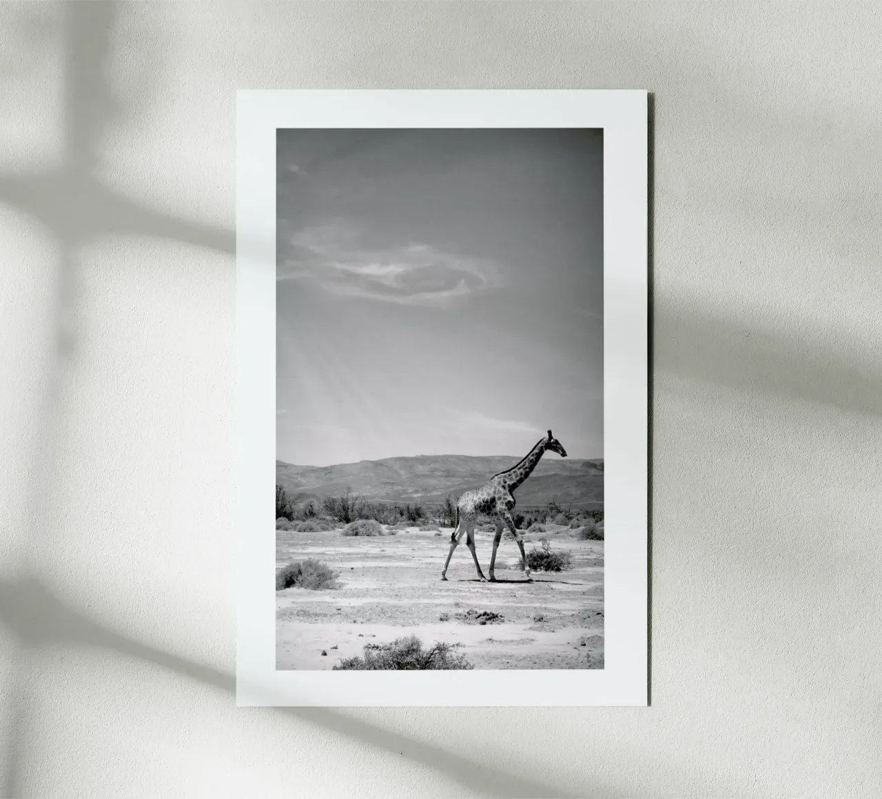 Light on the Savanna alluminio dibond da Natural Kingdom