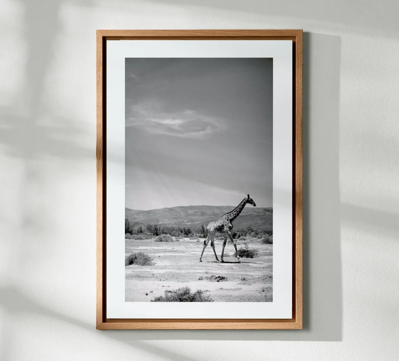 Light on the Savanna canvas with Floater frame by Natural Kingdom