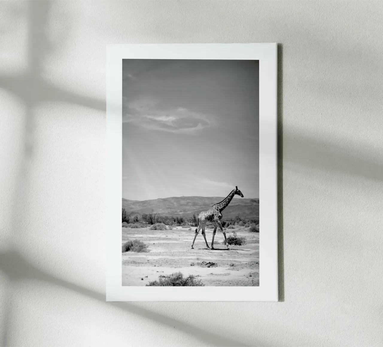 Light on the Savanna canvas with Floater frame by Natural Kingdom
