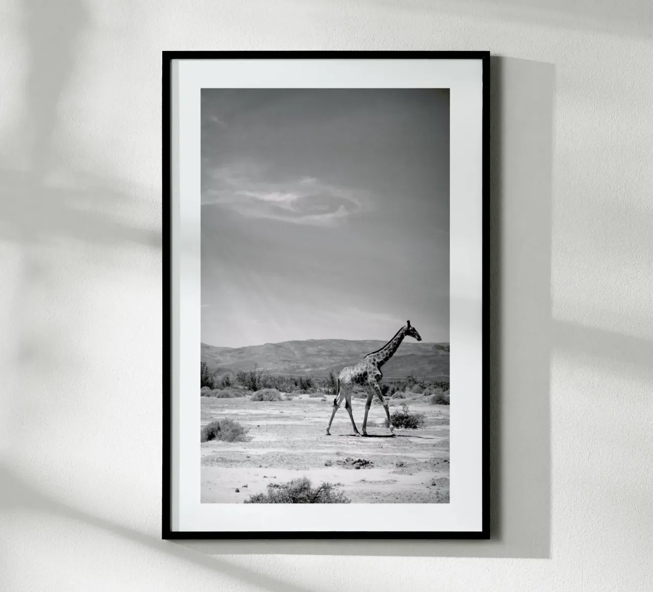 Light on the Savanna carta hahnemühle da Natural Kingdom