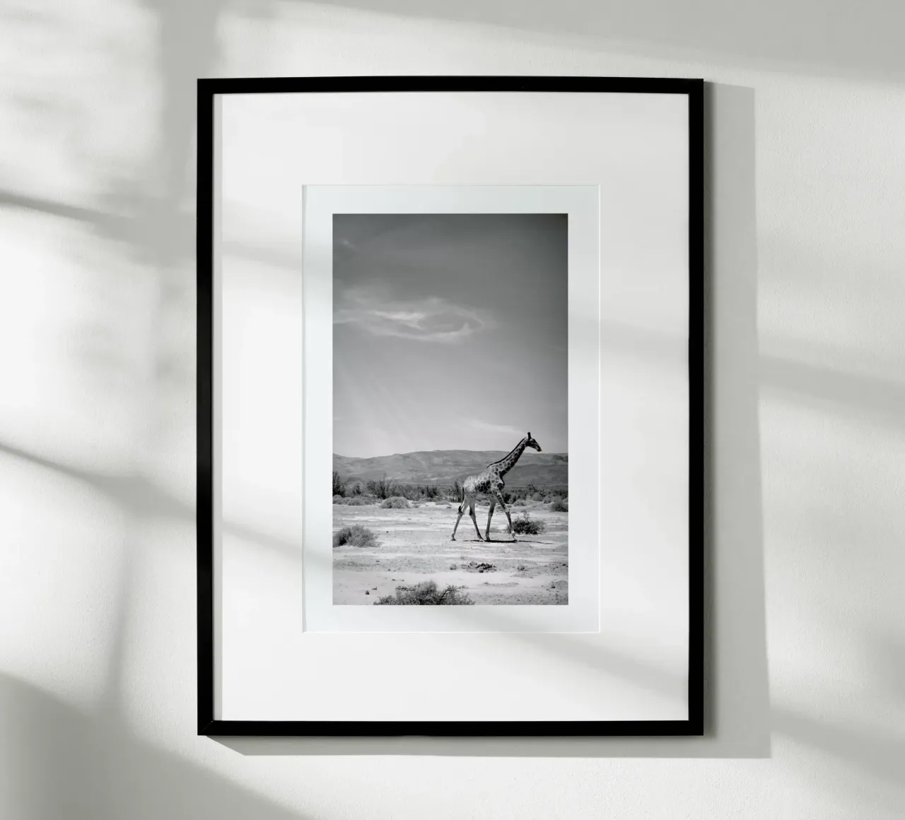 Light on the Savanna carta hahnemühle da Natural Kingdom