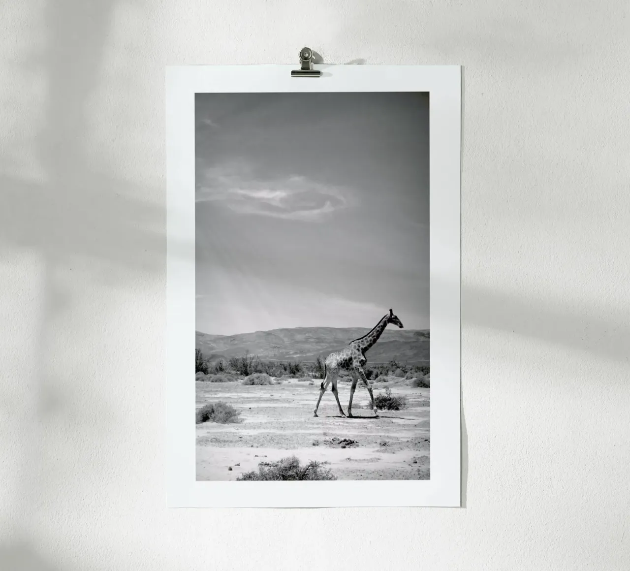 Light on the Savanna carta hahnemühle da Natural Kingdom