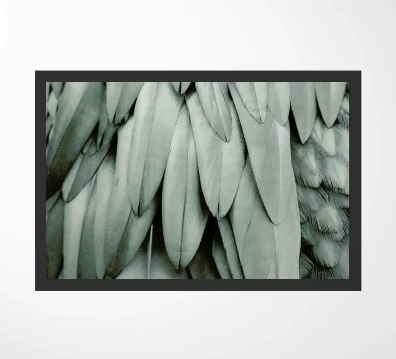Feathers Eucalyptus Green zerbino da Monika Strigel