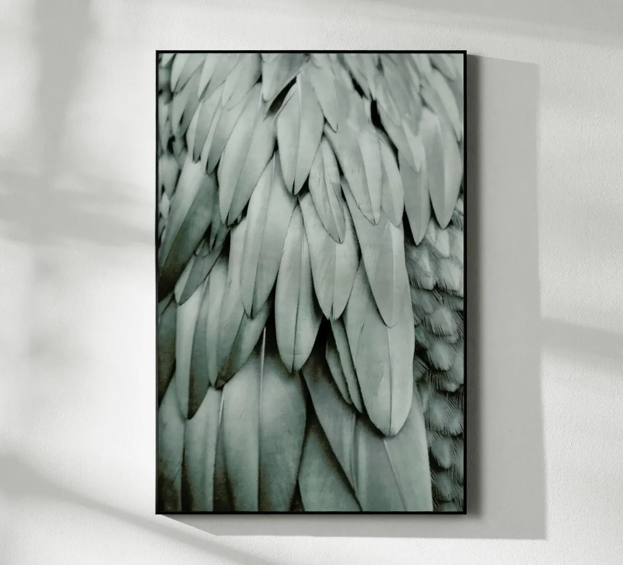 Feathers Eucalyptus Green plexiglass da Monika Strigel