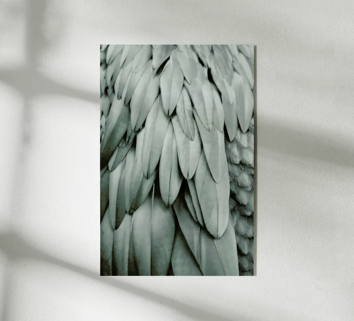 Feathers Eucalyptus Green acrylic glass by Monika Strigel