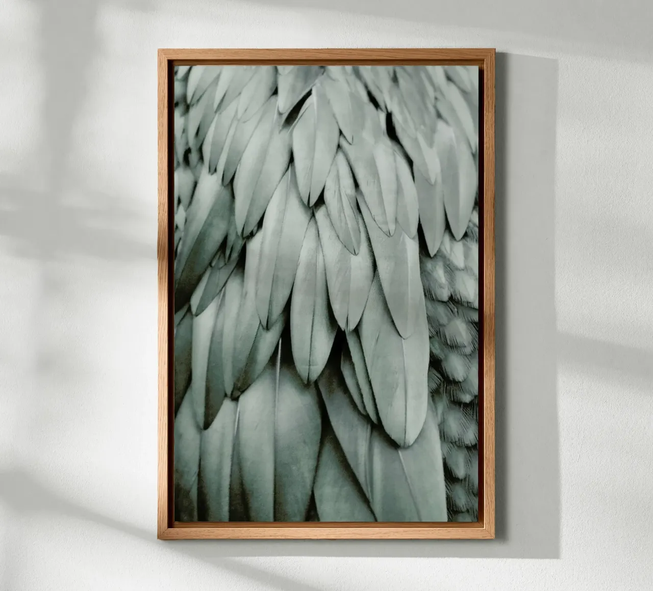 Feathers Eucalyptus Green tela con Cornice a cassetta da Monika Strigel