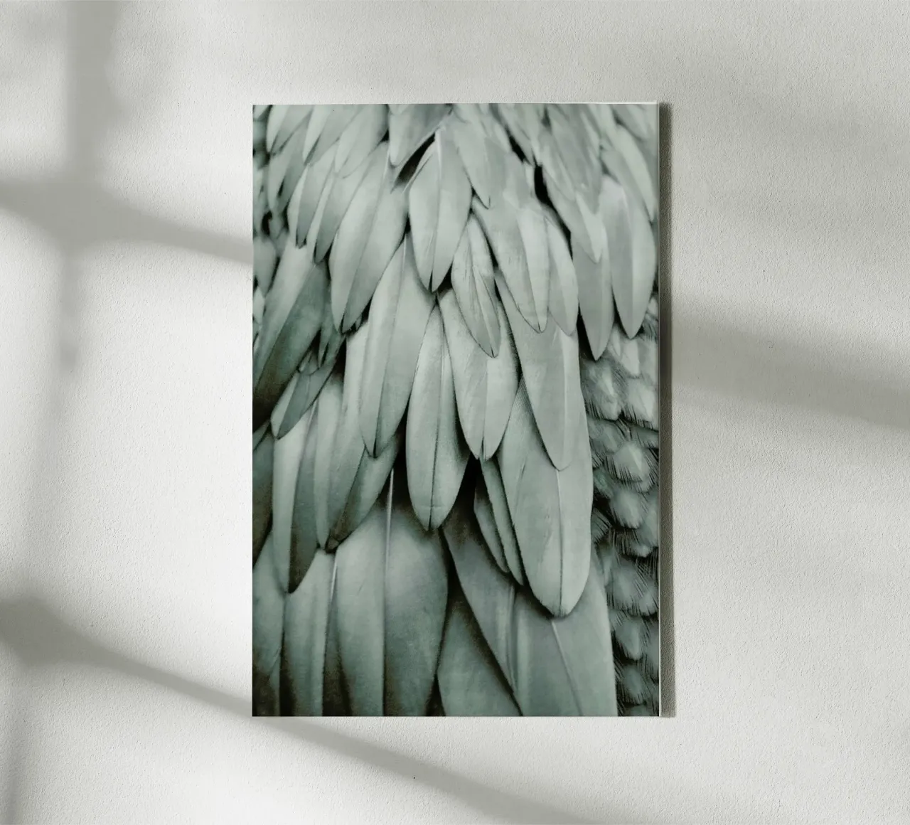 Feathers Eucalyptus Green tela con Cornice a cassetta da Monika Strigel