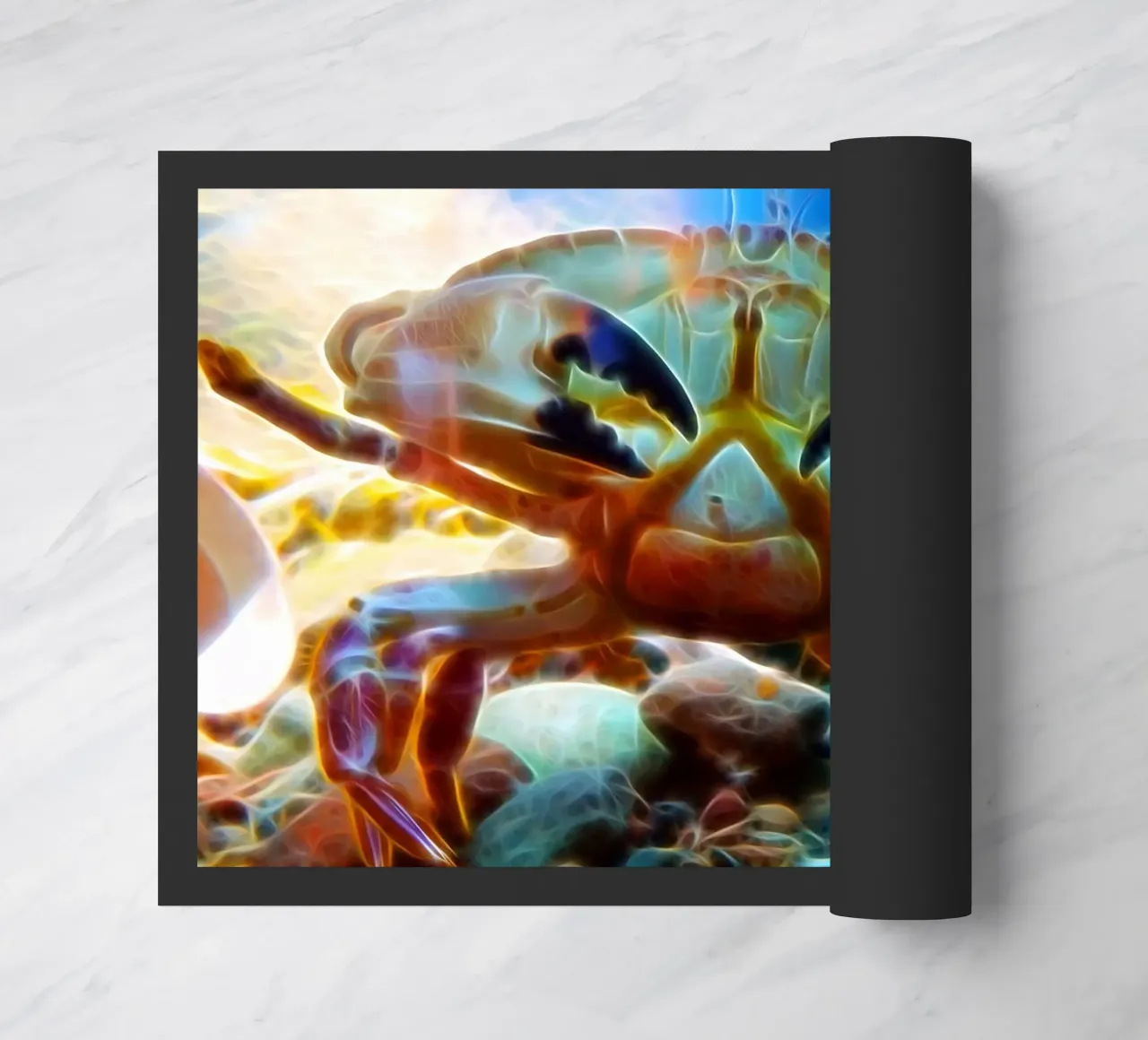 Granchio zerbino da Massimo Frascogna