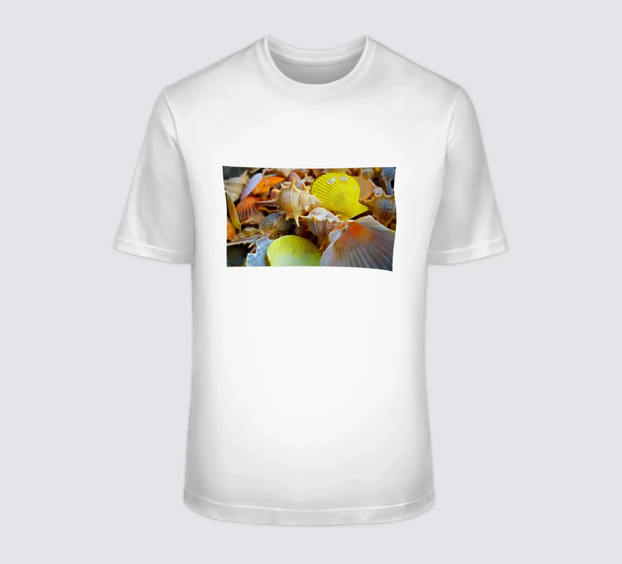 Conchiglie t-shirt da Massimo Frascogna