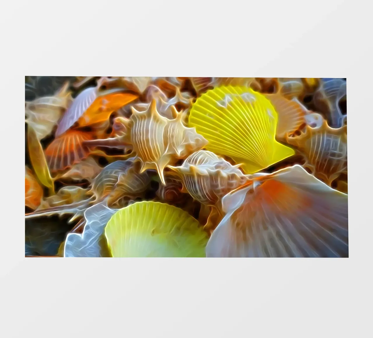 Schelpen backlit folie van Massimo Frascogna