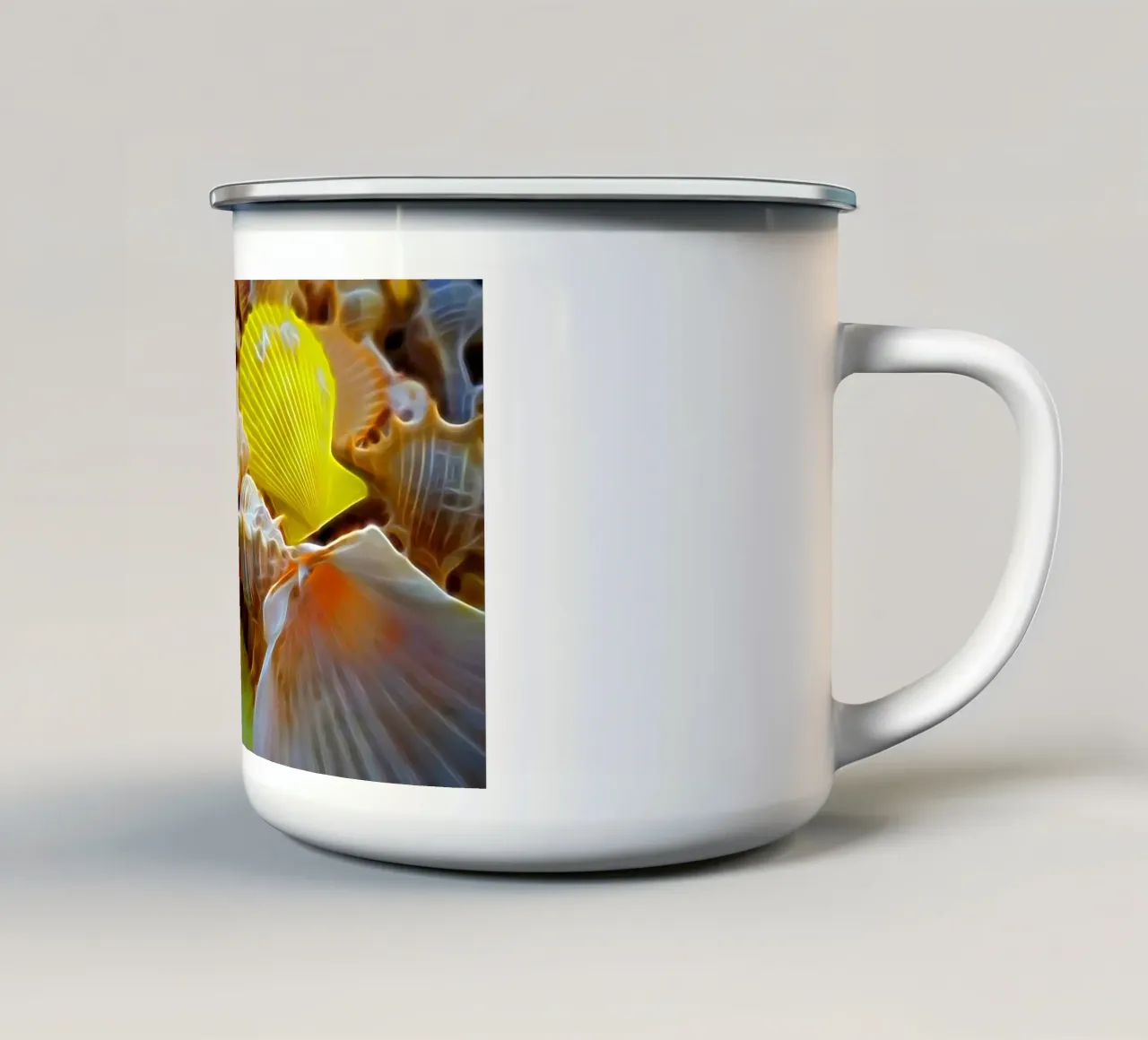Conchiglie tazza in smalto da Massimo Frascogna