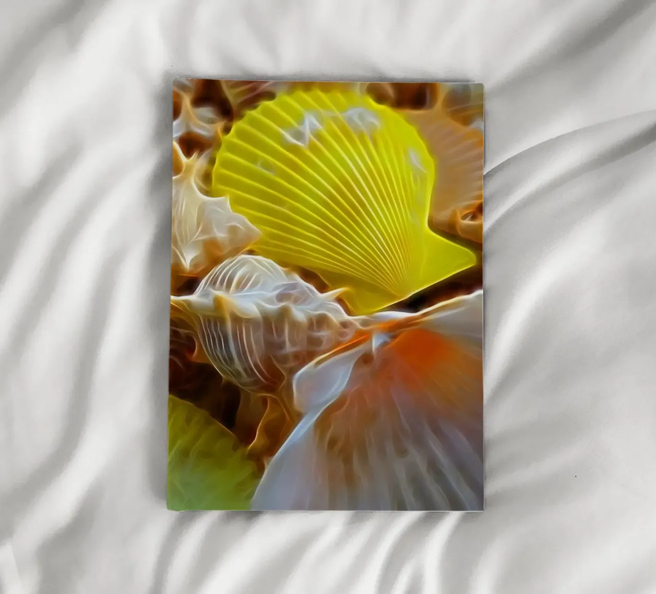 Shells notebook by Massimo Frascogna