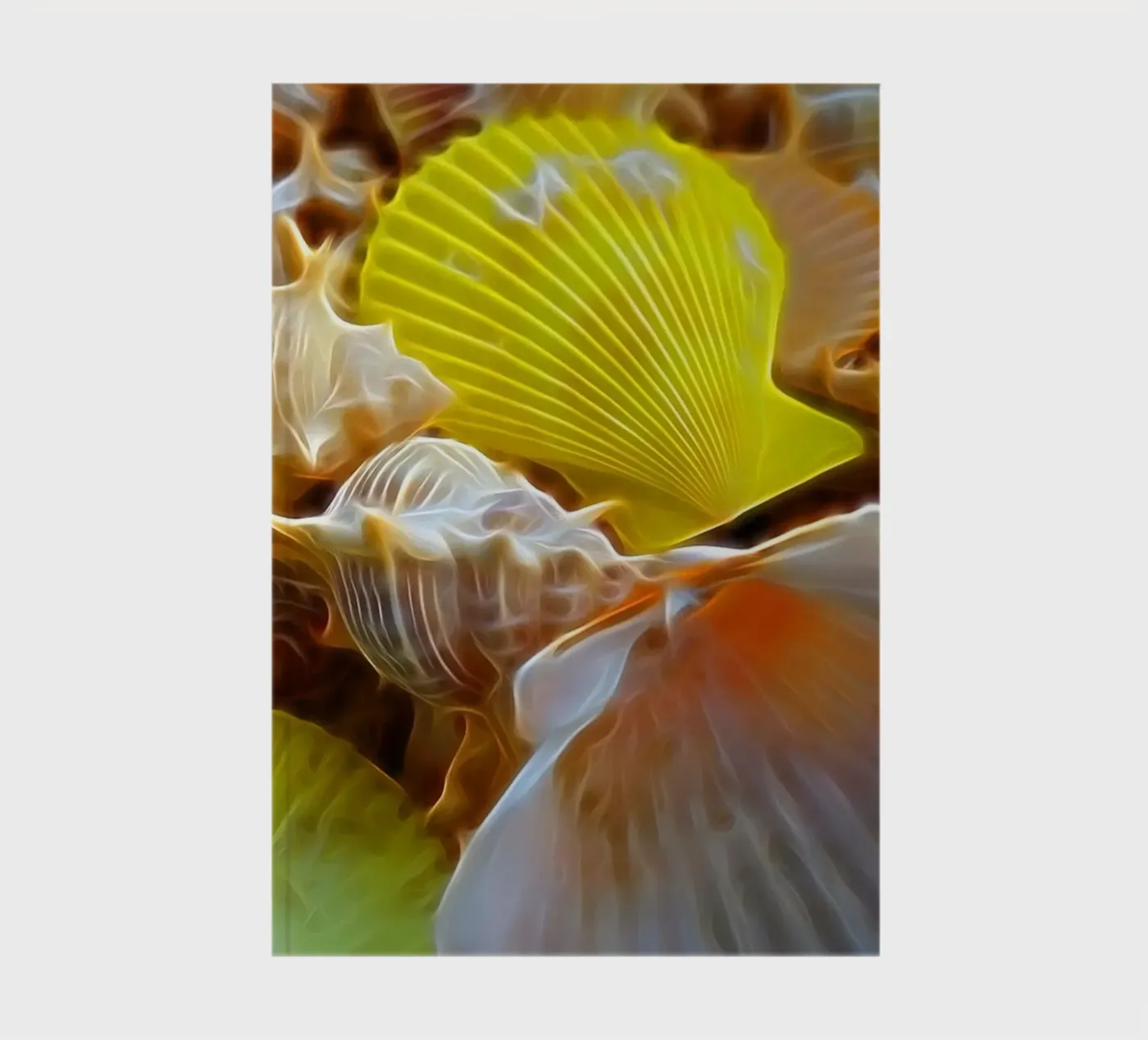 Shells Notizbuch von Massimo Frascogna