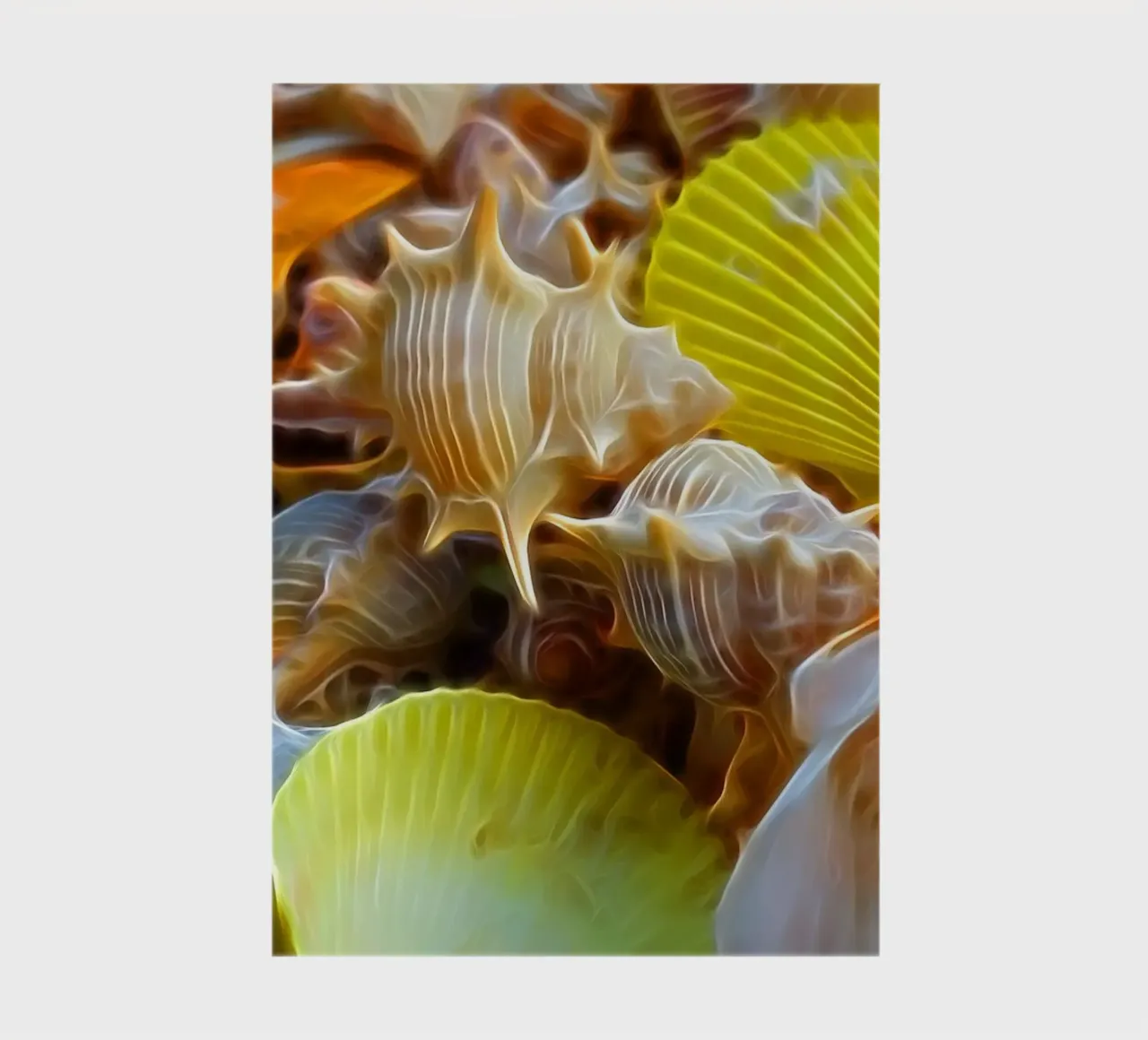 Shells notebook by Massimo Frascogna