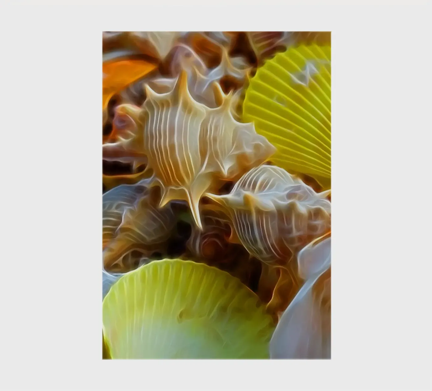 Shells Notizbuch von Massimo Frascogna