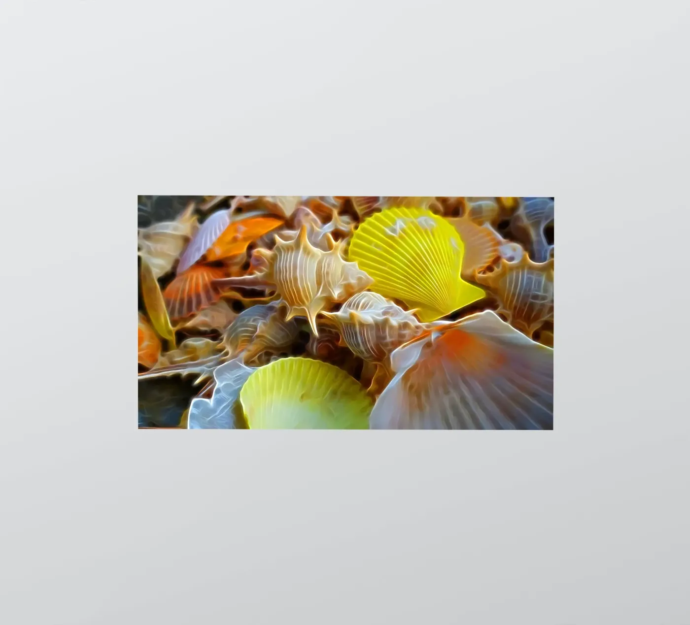 Shells autocollant de Massimo Frascogna