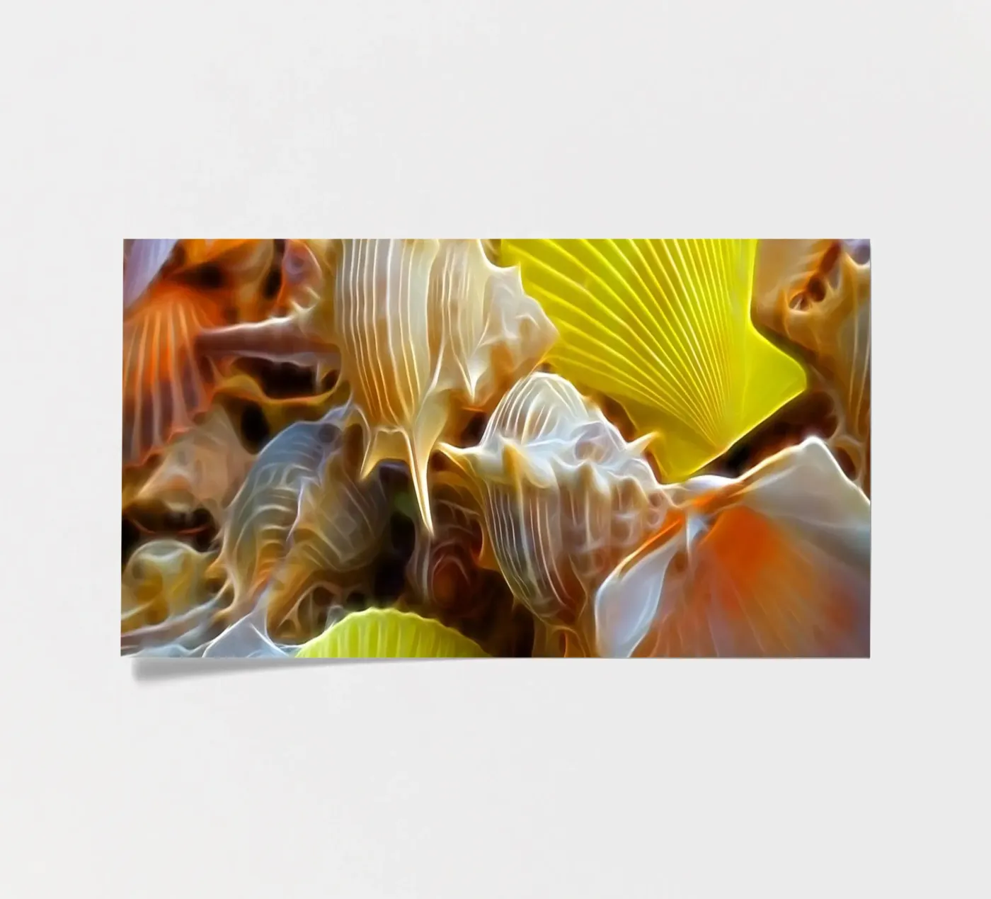 Shells stickervel van Massimo Frascogna