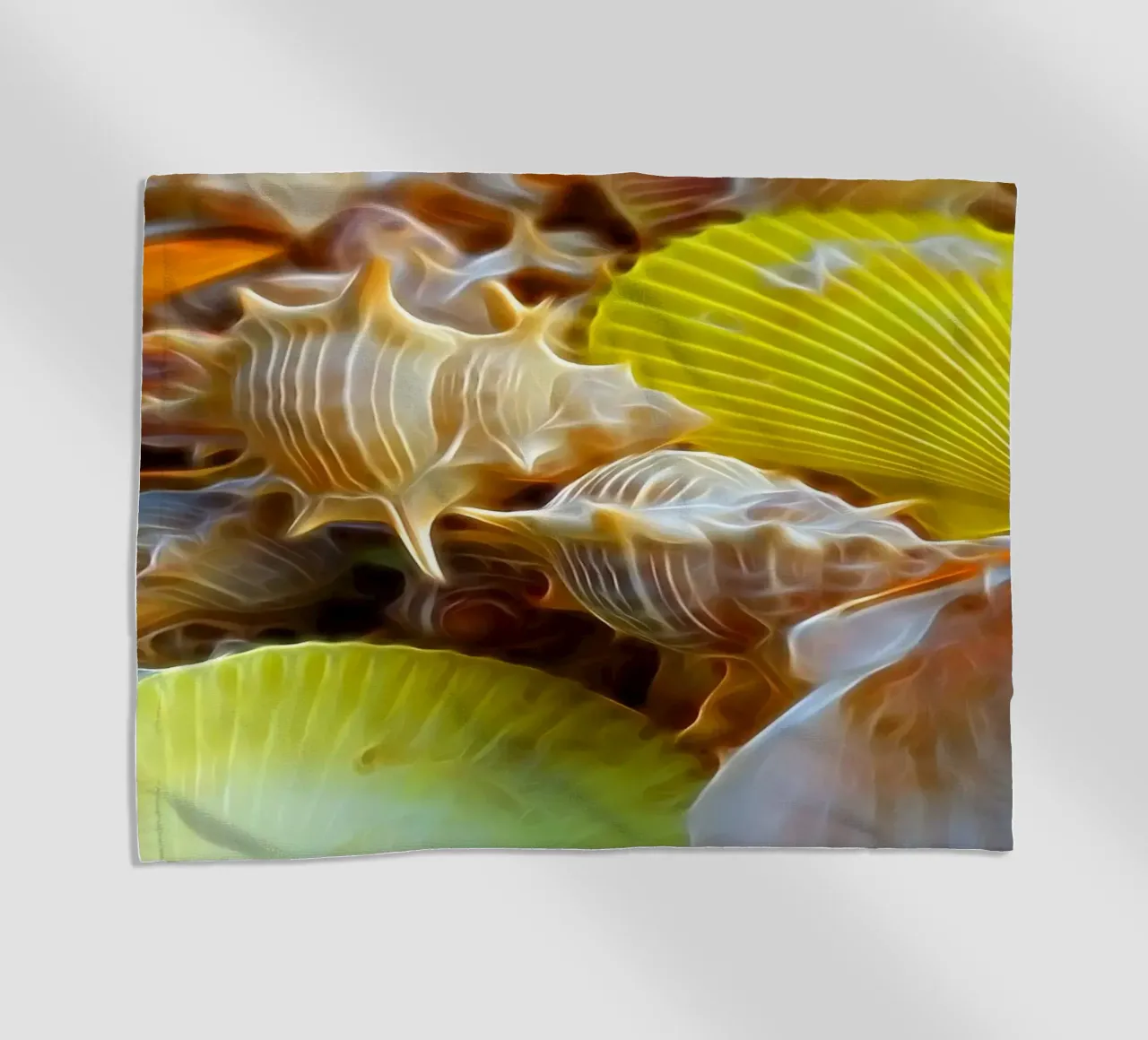 Conchiglie telo mare da Massimo Frascogna