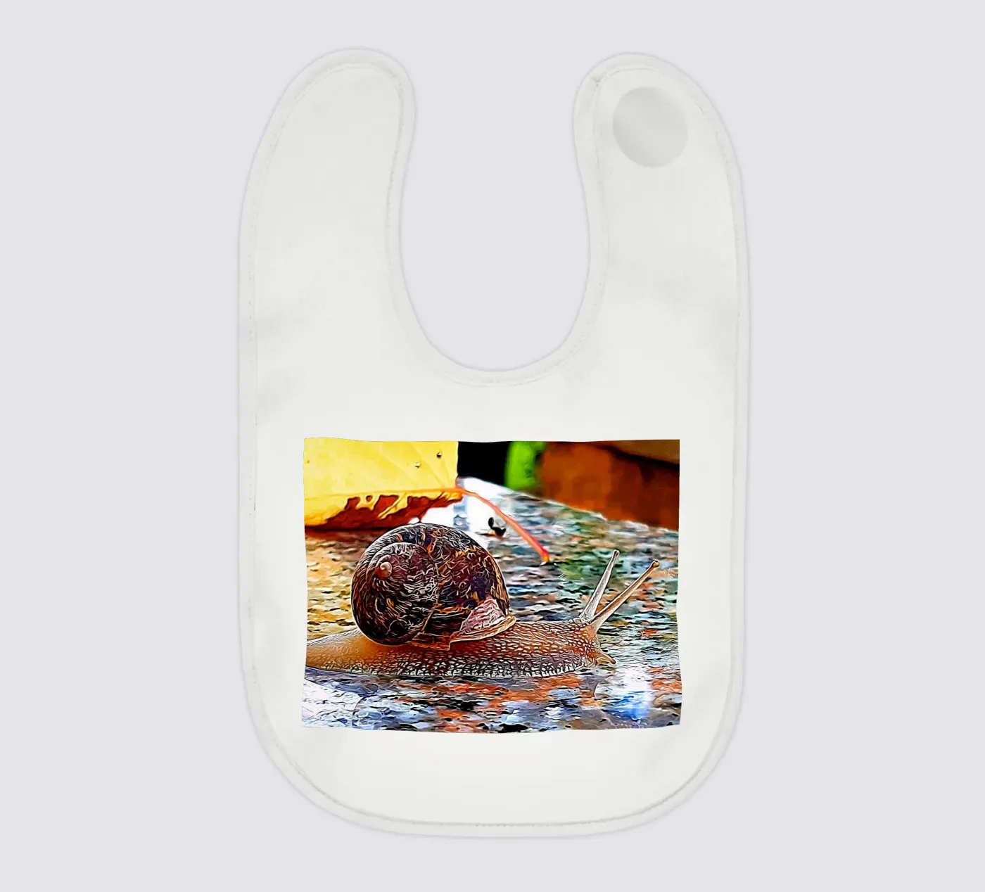 Lumaca bavaglino da Massimo Frascogna