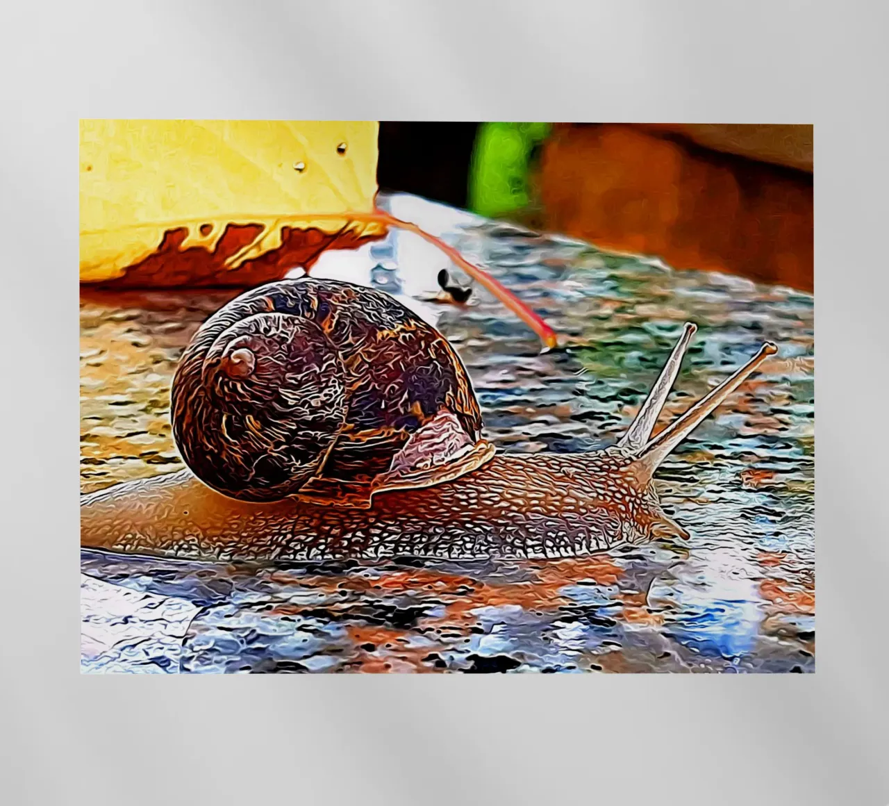 Lumaca pellicola backlit da Massimo Frascogna