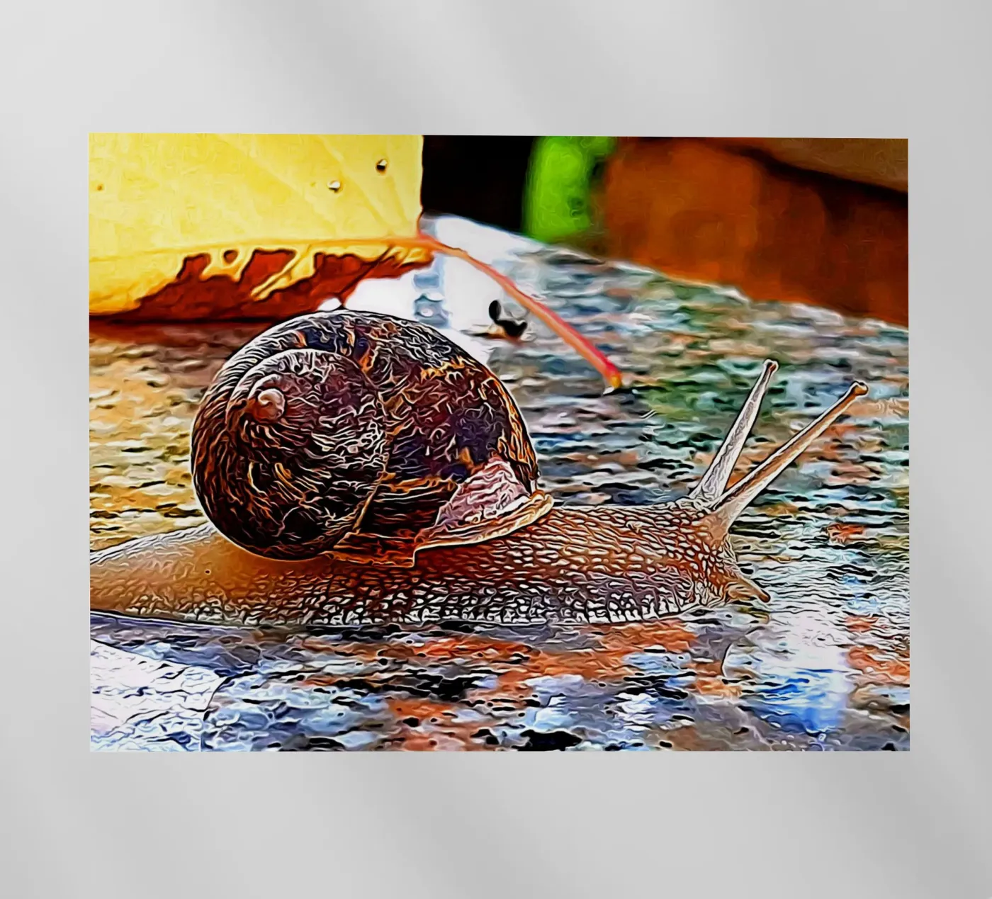 Lumaca pellicola backlit da Massimo Frascogna