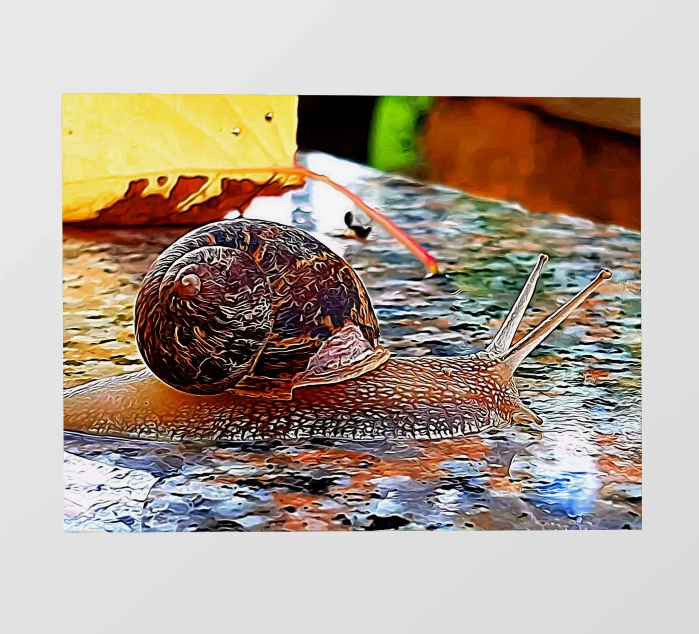 Lumaca pellicola backlit da Massimo Frascogna