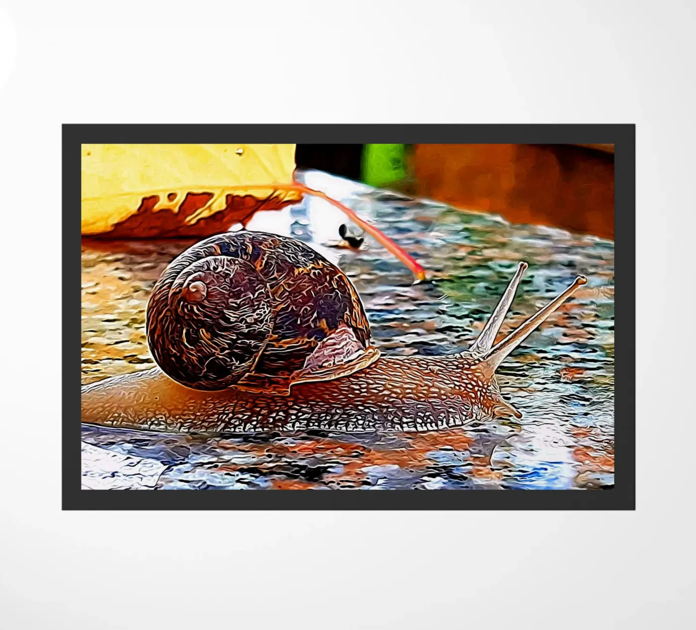 Snail Fußmatte von Massimo Frascogna
