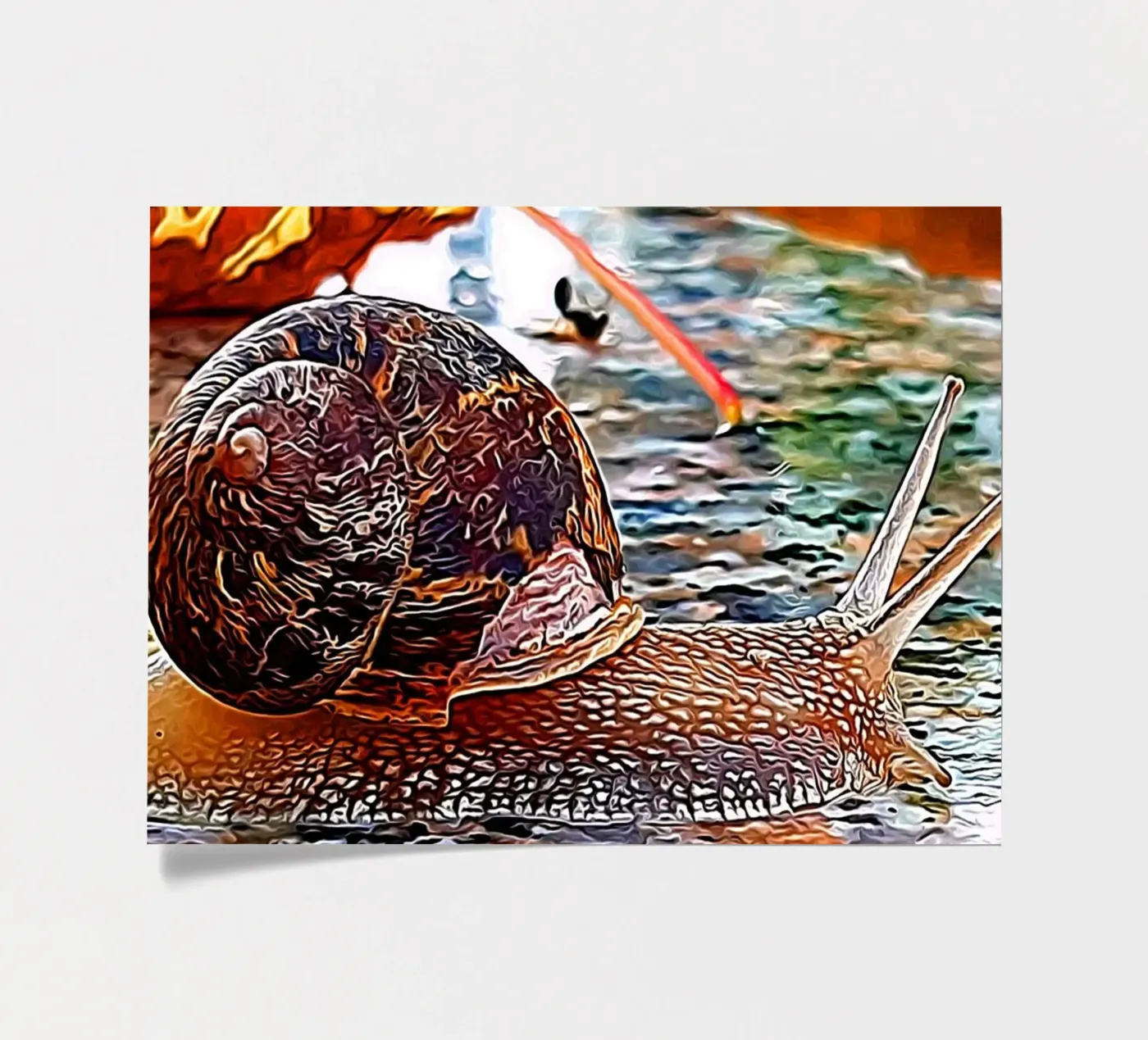 Snail sticker sheet by Massimo Frascogna
