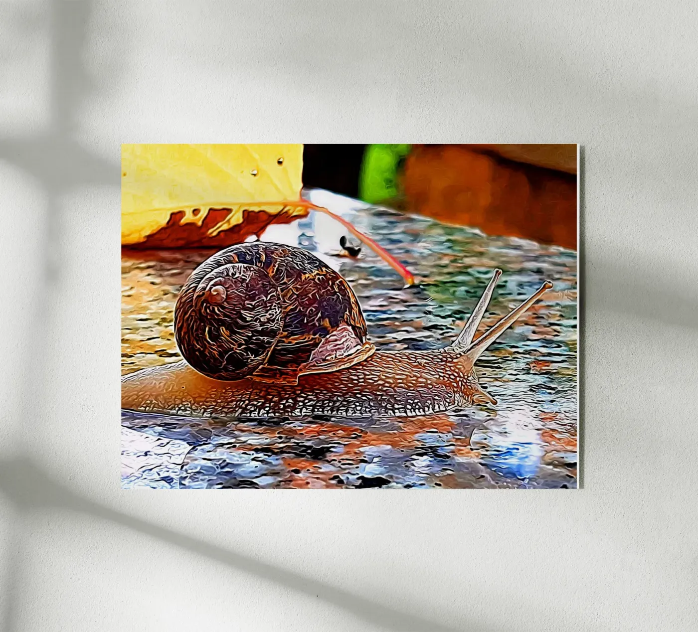 Escargot plexiglas de Massimo Frascogna