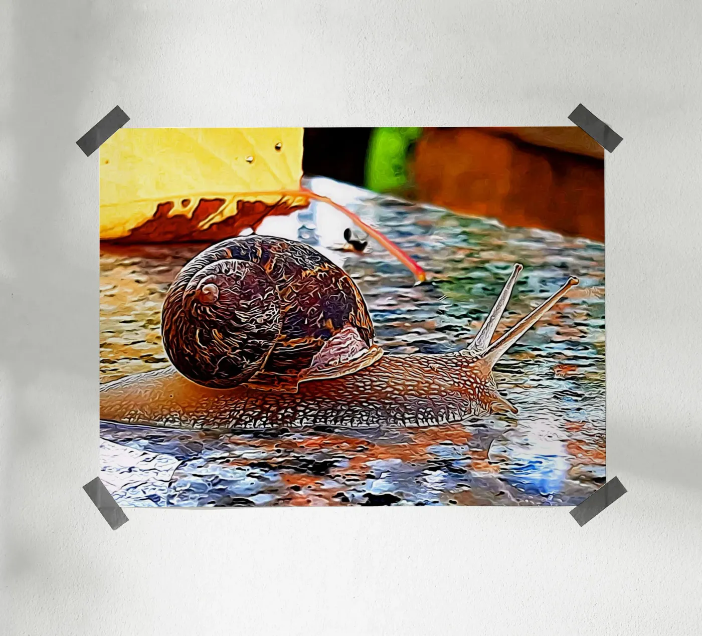 Snail poster by Massimo Frascogna