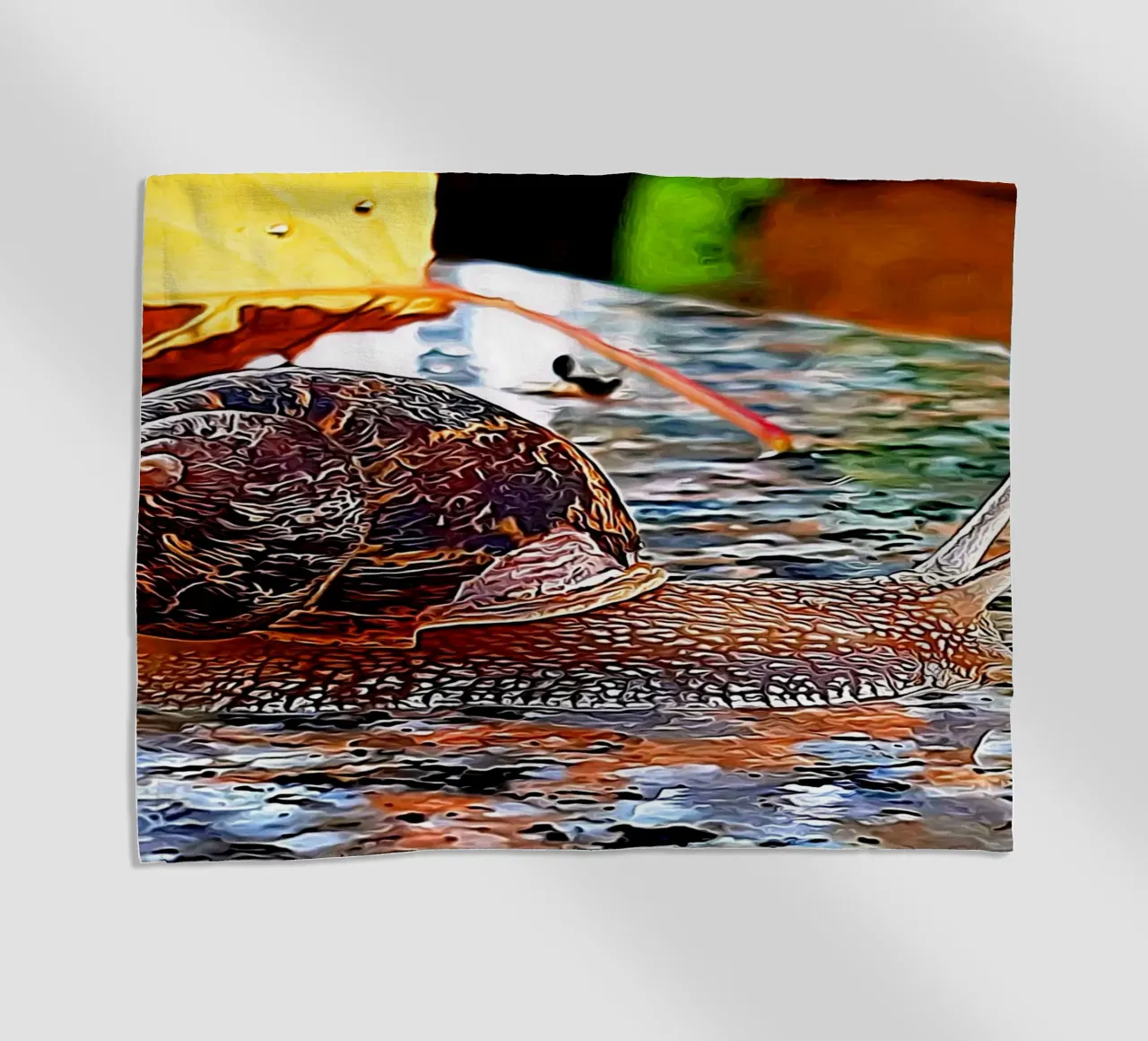 Lumaca telo mare da Massimo Frascogna