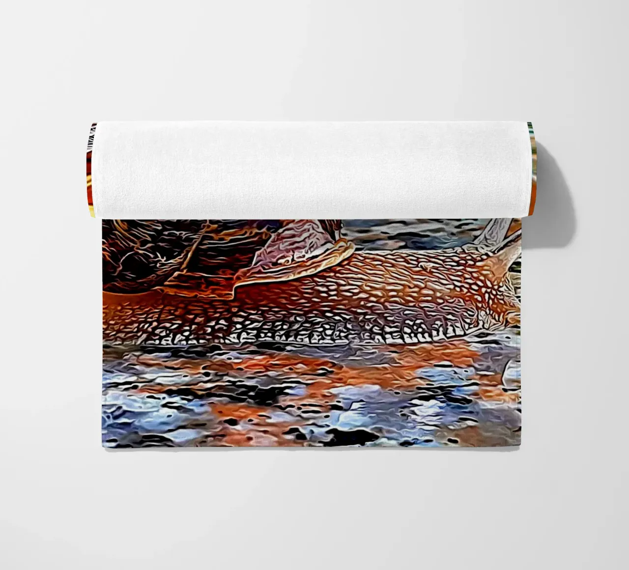 Lumaca telo mare da Massimo Frascogna