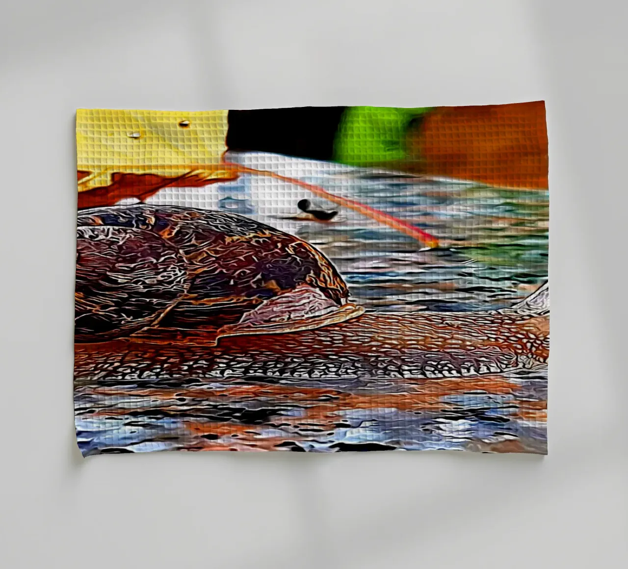 Lumaca canovaccio da cucina da Massimo Frascogna