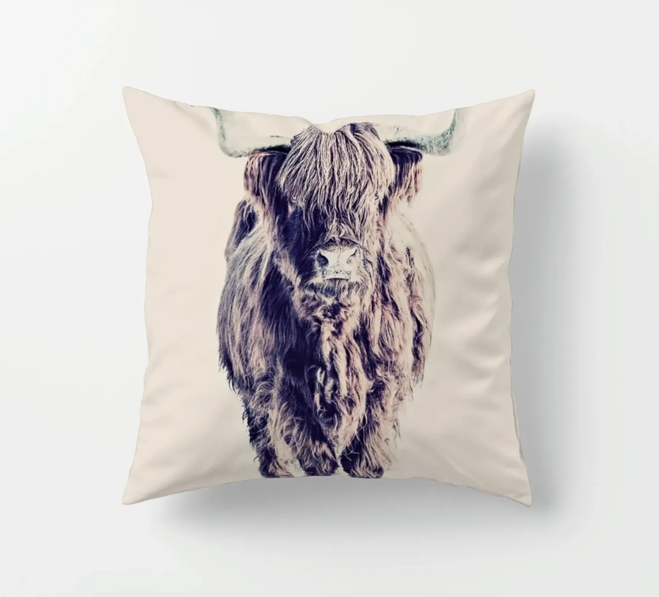 Highland Cattle Colin Rose cuscino da Monika Strigel