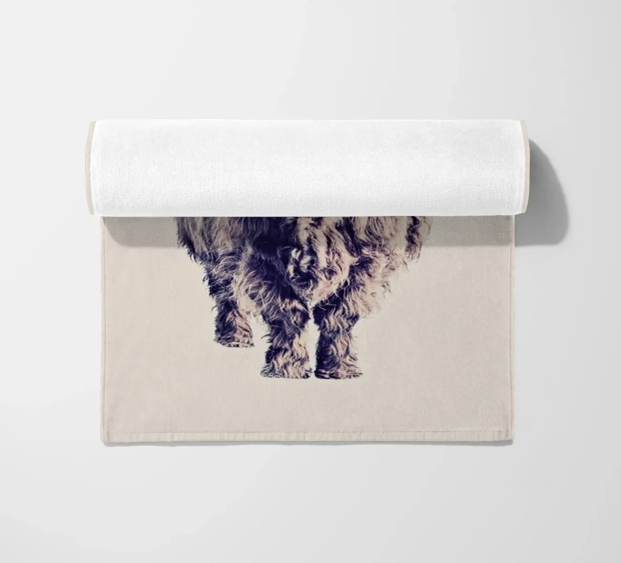 Highland Cattle Colin Rose telo mare da Monika Strigel