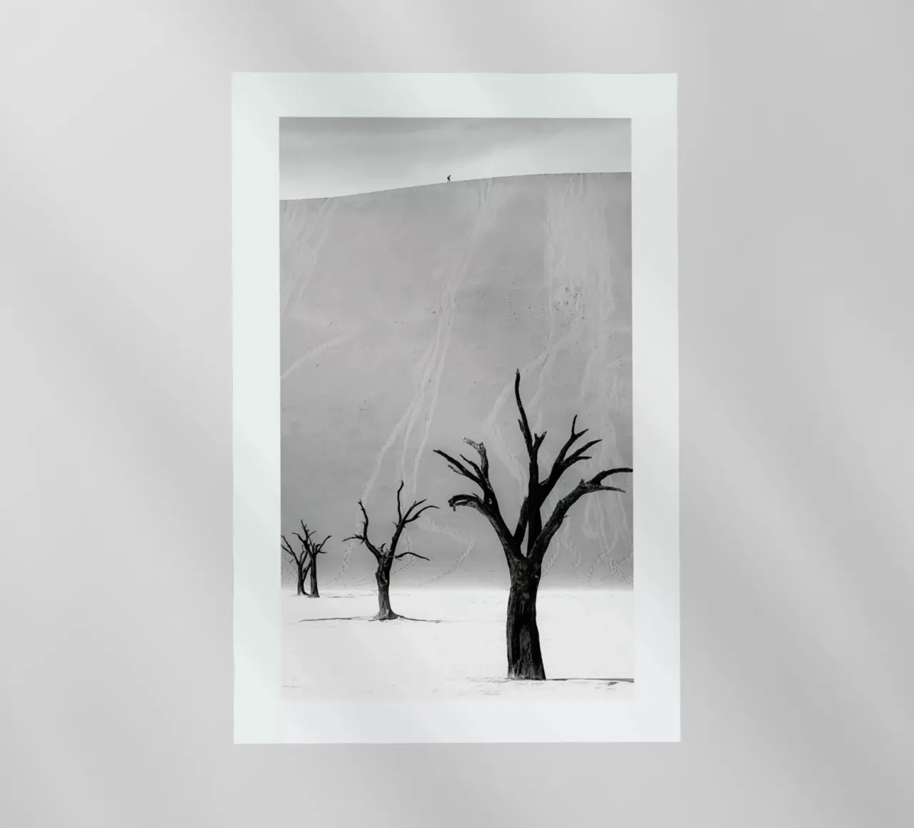 Deadvlei Trees II pellicola backlit da METROPOLIS